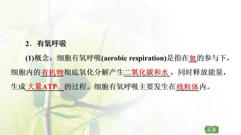 新教材高中生物第三章细胞中能量的转换和利用第3节细胞呼吸__能量的转化和利用课件苏教版必修106