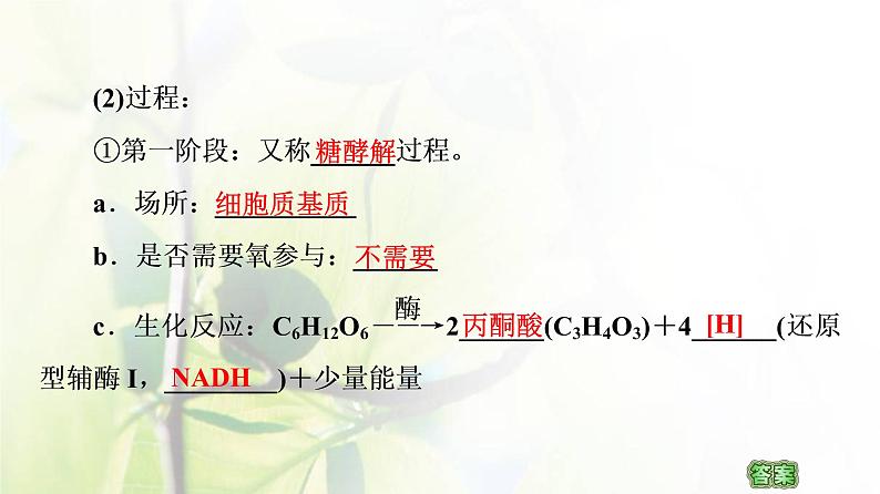 新教材高中生物第三章细胞中能量的转换和利用第3节细胞呼吸__能量的转化和利用课件苏教版必修107