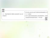 新教材高中生物第5章植物生命活动的调节第4节环境因素参与调节植物的生命活动课件新人教版选择性必修第一册