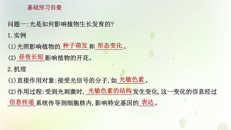 新教材高中生物第5章植物生命活动的调节第4节环境因素参与调节植物的生命活动课件新人教版选择性必修第一册03