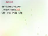 新教材高中生物第3章体液调节第1节激素与内分泌系统课件新人教版选择性必修第一册
