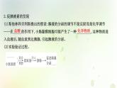 新教材高中生物第3章体液调节第1节激素与内分泌系统课件新人教版选择性必修第一册