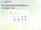 新教材高中生物第5章植物生命活动的调节第1节植物生长素课件新人教版选择性必修第一册