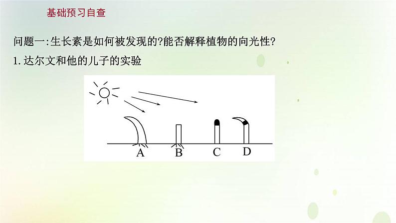 新教材高中生物第5章植物生命活动的调节第1节植物生长素课件新人教版选择性必修第一册03