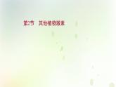 新教材高中生物第5章植物生命活动的调节第2节其他植物激素课件新人教版选择性必修第一册