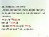 新教材高中生物第5章植物生命活动的调节第2节其他植物激素课件新人教版选择性必修第一册