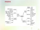 新教材高中生物第3章体液调节单元复习课课件新人教版选择性必修第一册