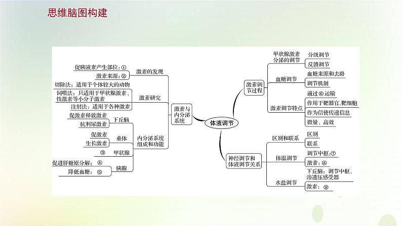 新教材高中生物第3章体液调节单元复习课课件新人教版选择性必修第一册第2页