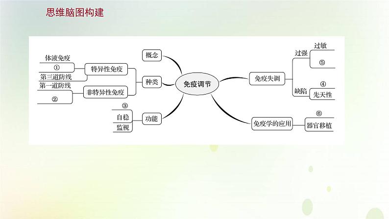 新教材高中生物第4章免疫调节单元复习课课件新人教版选择性必修第一册第2页