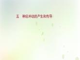 新教材高中生物第2章神经调节第3节神经冲动的产生和传导课时检测课件新人教版选择性必修第一册