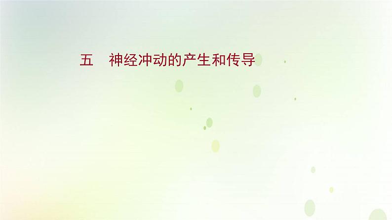 新教材高中生物第2章神经调节第3节神经冲动的产生和传导课时检测课件新人教版选择性必修第一册01