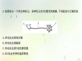 新教材高中生物第2章神经调节第3节神经冲动的产生和传导课时检测课件新人教版选择性必修第一册