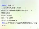 新教材高中生物第1章人体的内环境与稳态第2节内环境的稳态课时检测课件新人教版选择性必修第一册