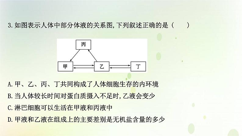 新教材高中生物第1章人体的内环境与稳态第1节细胞生活的环境课时检测课件新人教版选择性必修第一册第5页