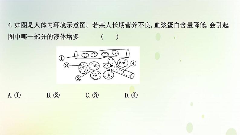 新教材高中生物第1章人体的内环境与稳态第1节细胞生活的环境课时检测课件新人教版选择性必修第一册第7页