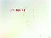 新教材高中生物第5章植物生命活动的调节第1节植物生长素课时检测课件新人教版选择性必修第一册