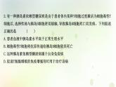 新教材高中生物第4章免疫调节第3节免疫失调课时检测课件新人教版选择性必修第一册
