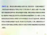 新教材高中生物第4章免疫调节第3节免疫失调课时检测课件新人教版选择性必修第一册