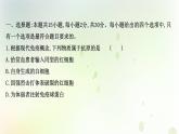 新教材高中生物第4章免疫调节单元检测课件新人教版选择性必修第一册