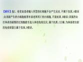 新教材高中生物第4章免疫调节单元检测课件新人教版选择性必修第一册