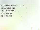 新教材高中生物第4章免疫调节单元检测课件新人教版选择性必修第一册