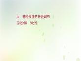 新教材高中生物第2章神经调节第4节神经系统的分级调节课时检测课件新人教版选择性必修第一册