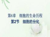 新教材高中生物第6章细胞的生命历程第2节细胞的分化课件新人教版必修1