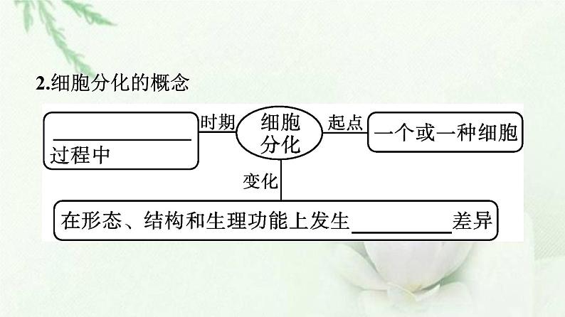 新教材高中生物第6章细胞的生命历程第2节细胞的分化课件新人教版必修1第8页