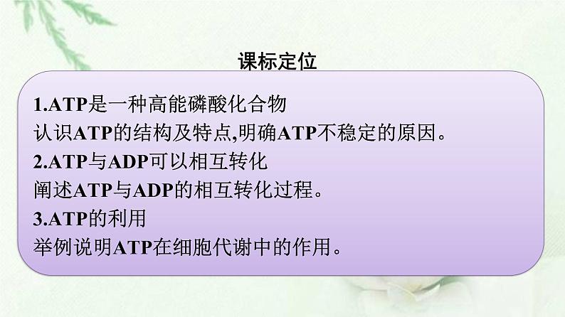 新教材高中生物第5章细胞的能量供应和利用第2节细胞的能量“货币”ATP课件新人教版必修1第2页