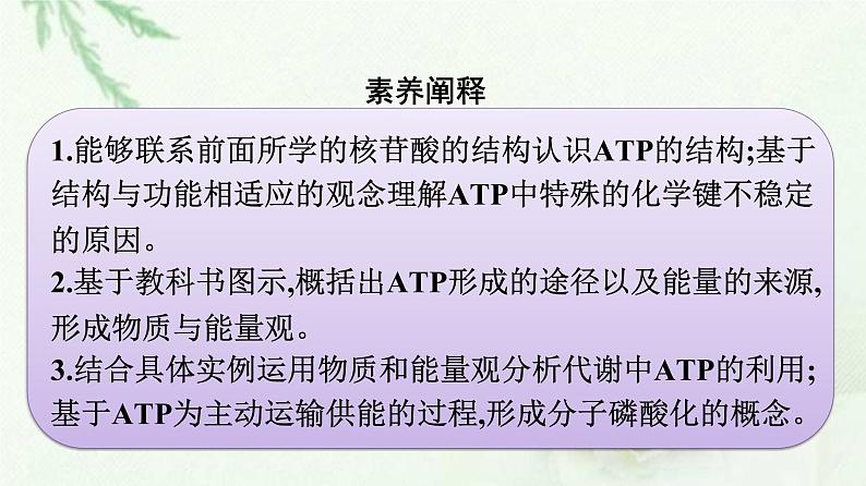新教材高中生物第5章细胞的能量供应和利用第2节细胞的能量“货币”ATP课件新人教版必修1第3页