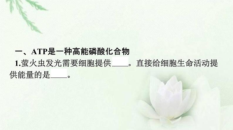 新教材高中生物第5章细胞的能量供应和利用第2节细胞的能量“货币”ATP课件新人教版必修1第5页