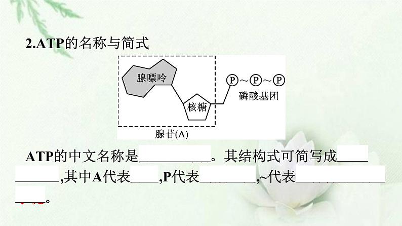 新教材高中生物第5章细胞的能量供应和利用第2节细胞的能量“货币”ATP课件新人教版必修1第6页