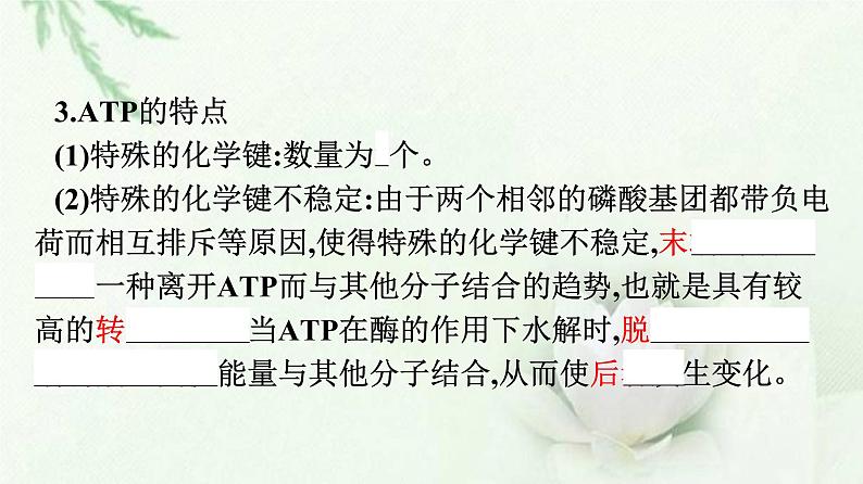 新教材高中生物第5章细胞的能量供应和利用第2节细胞的能量“货币”ATP课件新人教版必修1第7页