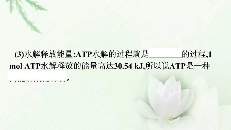 新教材高中生物第5章细胞的能量供应和利用第2节细胞的能量“货币”ATP课件新人教版必修1第8页