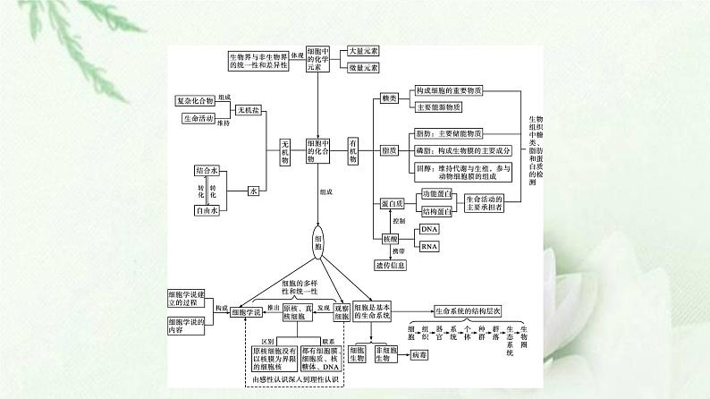 新教材高中生物第2章组成细胞的分子本章整合课件新人教版必修103