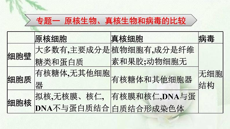 新教材高中生物第2章组成细胞的分子本章整合课件新人教版必修105