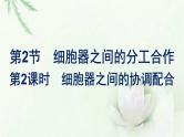 新教材高中生物第3章细胞的基本结构第2节第2课时细胞器之间的协调配合课件新人教版必修1
