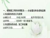新教材高中生物第3章细胞的基本结构第2节第2课时细胞器之间的协调配合课件新人教版必修1