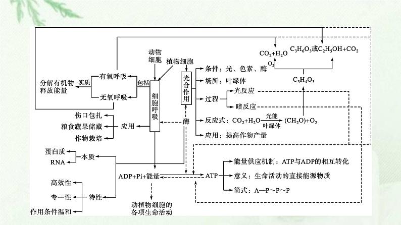 新教材高中生物第5章细胞的能量供应和利用本章整合课件新人教版必修1第3页