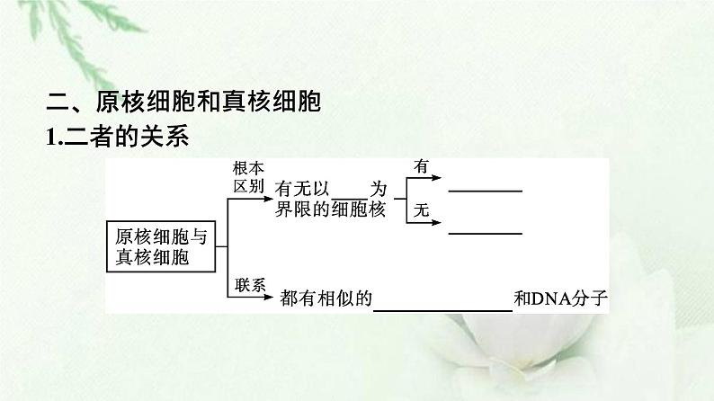 新教材高中生物第1章走近细胞第2节细胞的多样性和统一性课件新人教版必修107