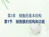 新教材高中生物第3章细胞的基本结构第1节细胞膜的结构和功能课件新人教版必修1