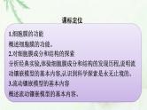 新教材高中生物第3章细胞的基本结构第1节细胞膜的结构和功能课件新人教版必修1