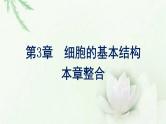 新教材高中生物第3章细胞的基本结构本章整合课件新人教版必修1