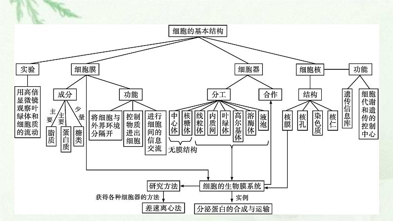 新教材高中生物第3章细胞的基本结构本章整合课件新人教版必修104