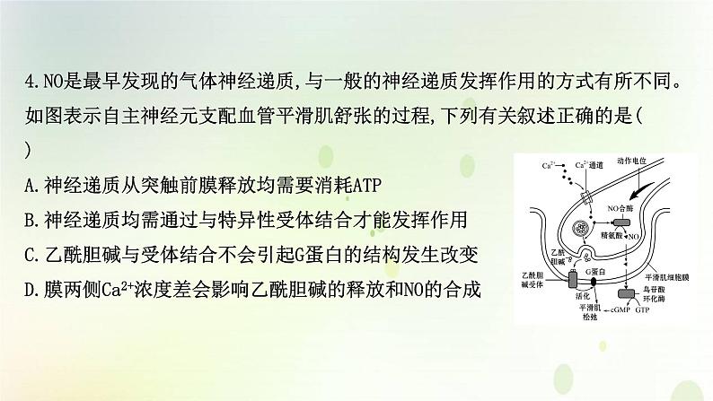 江苏专版2021届高考生物二轮复习选择题专项练一课件第8页