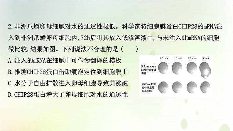 江苏专版2021届高考生物二轮复习核心素养抢分练类型一生命观念课件05