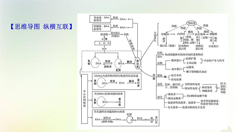 江苏专版2021届高考生物二轮复习核心素养串讲课1生命观念之蛋白质课件第2页