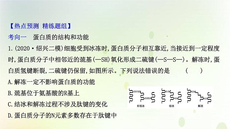 江苏专版2021届高考生物二轮复习核心素养串讲课1生命观念之蛋白质课件第7页