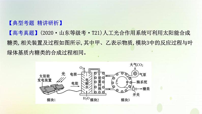 江苏专版2021届高考生物二轮复习必考大题强化课1细胞代谢课件第2页