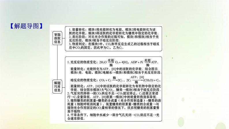 江苏专版2021届高考生物二轮复习必考大题强化课1细胞代谢课件第5页